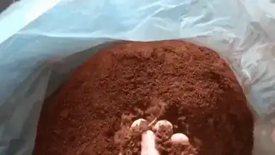 Pó de coco para substrato, Carve Substratos